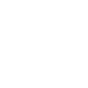 icono altai renta patrimonio 2